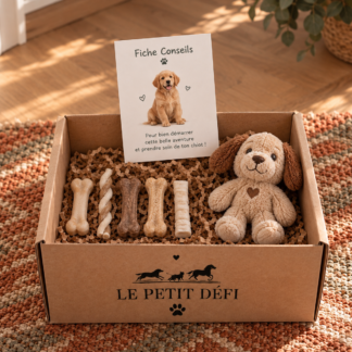🐾 La découverte